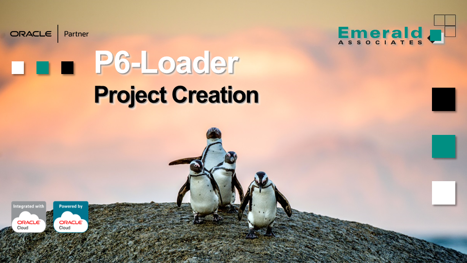 P6-Loader v12 - P6 Project Creation